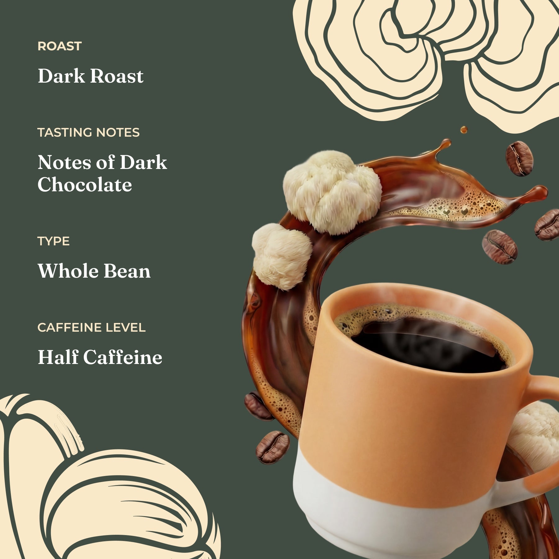 focus-half-caf-whole-bean-coffee-x5 Taste_-_Focus_Half_Caf_Whole_Bean_d1d02c35-db99-498e-ac43-813730db6953.jpg