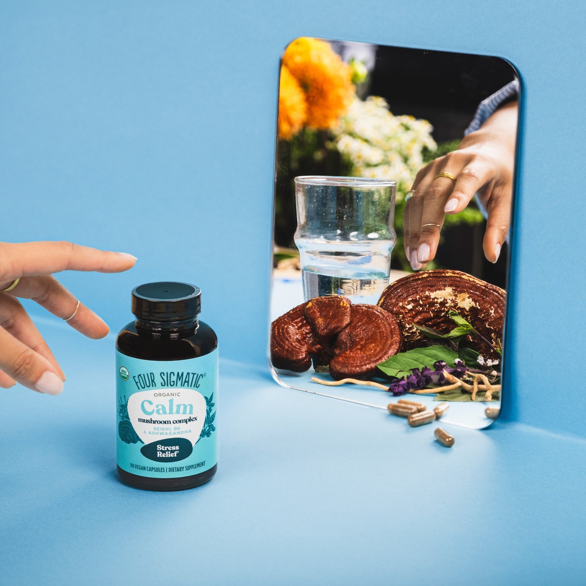 calm-capsules-o6 calm-capsule-1.jpg